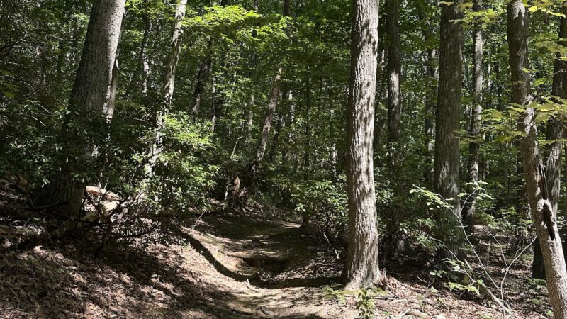 Hartshorne Woods Park, Buttermilk Valley Entrance - Atlantic Highlands, NJ