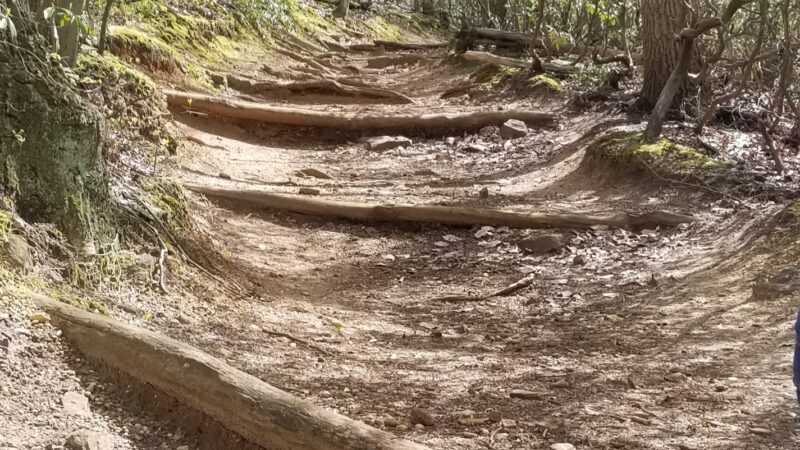 Hartshorne Woods Park, Buttermilk Valley Entrance - Atlantic Highlands, NJ