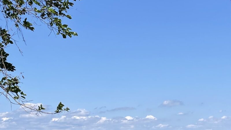 Henry Hudson Trail / Popamora Point - Atlantic Highlands, NJ