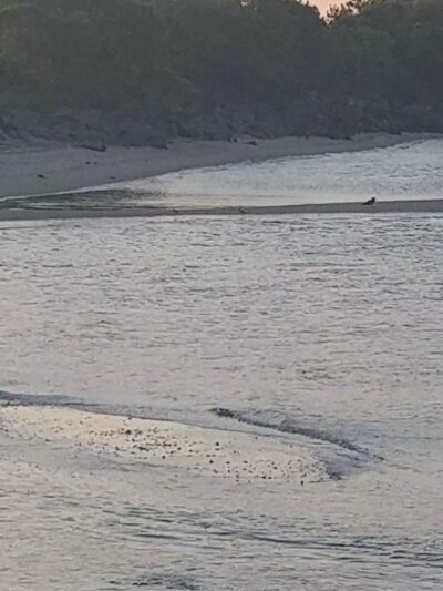 Henry Hudson Trail / Popamora Point - Atlantic Highlands, NJ