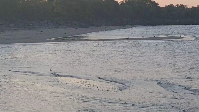 Henry Hudson Trail / Popamora Point - Atlantic Highlands, NJ