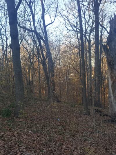 Ravine Park - Attica, IN