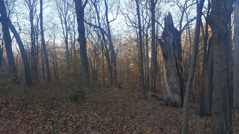 Ravine Park - Attica, IN