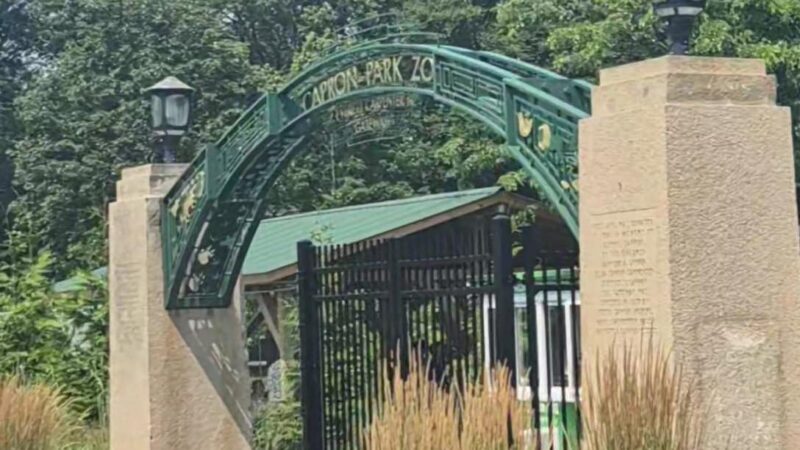 Capron Park - Attleboro, MA