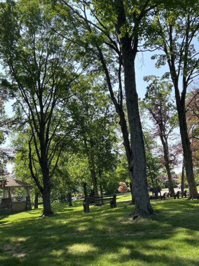 Capron Park - Attleboro, MA