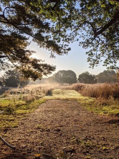 Highland Park - Attleboro, MA