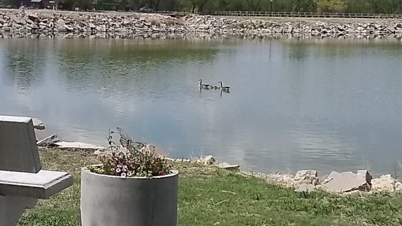 Atwood Lion's Park - Atwood, KS