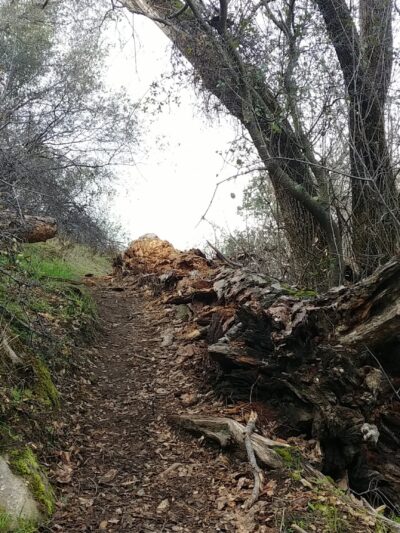 Horseshoe Bend Trailhead - Auberry, CA