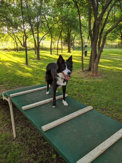 Union Park Bark Park - Aubrey, TX