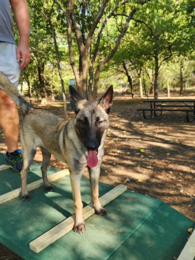 Union Park Bark Park - Aubrey, TX