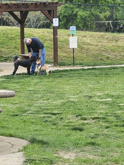 Ashley Off Leash Dog Park - Auburn, CA