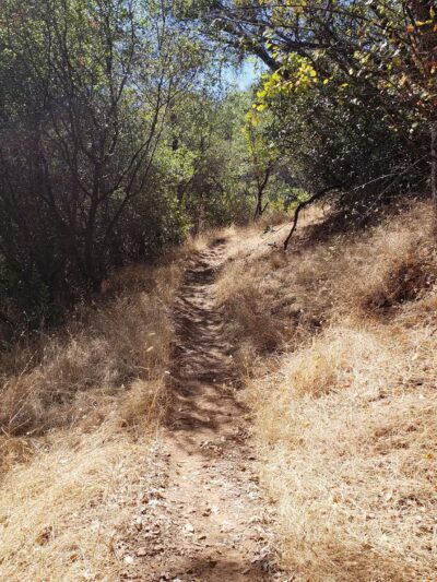 Cardiac Bypass hike - Auburn, CA