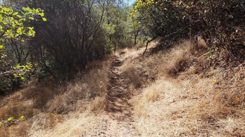 Cardiac Bypass hike - Auburn, CA