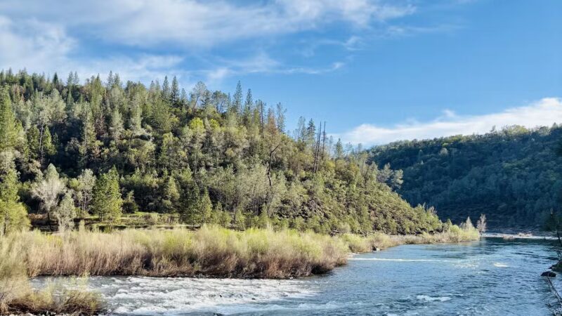 Cardiac Bypass hike - Auburn, CA