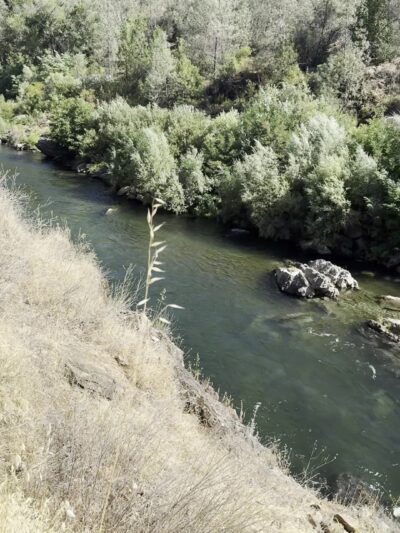 Confluence Trailhead - Auburn, CA