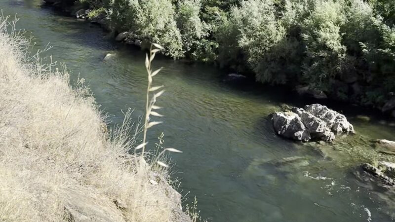 Confluence Trailhead - Auburn, CA