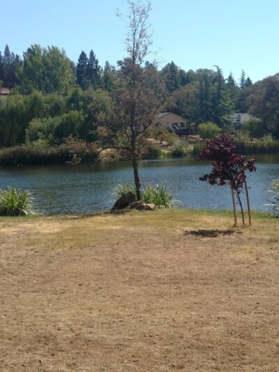 LOP Dog Park - Private to LOP Residents - Auburn, CA