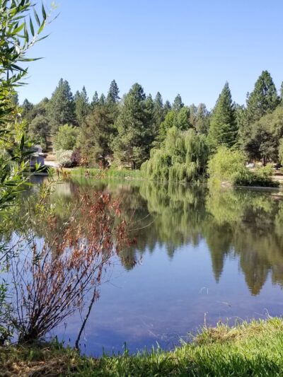 LOP Dog Park - Private to LOP Residents - Auburn, CA