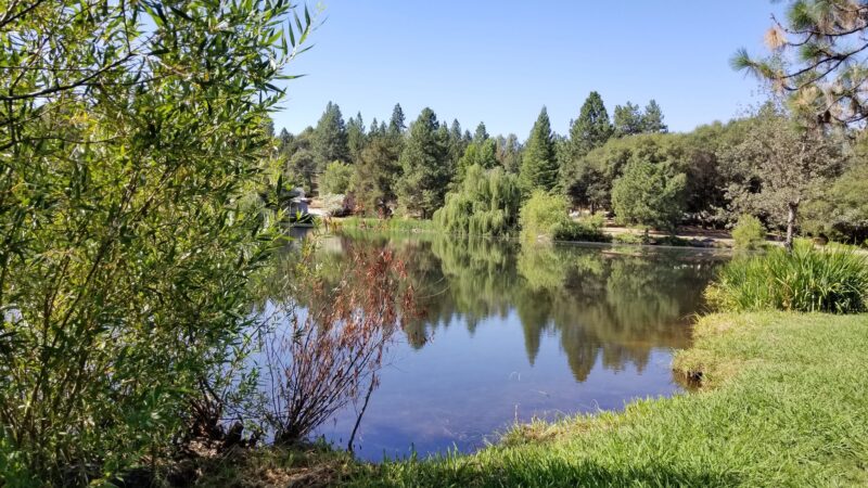 LOP Dog Park - Private to LOP Residents - Auburn, CA