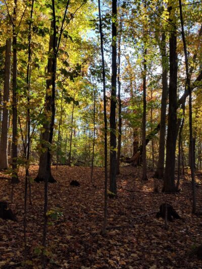 Don Lash Park - Auburn, IN