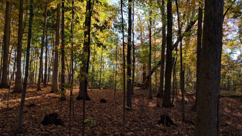 Don Lash Park - Auburn, IN