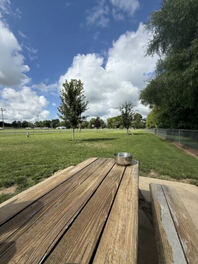 Auburn City Dog Park - Auburn, KY