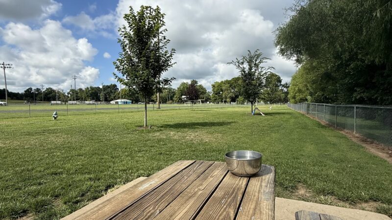 Auburn City Dog Park - Auburn, KY