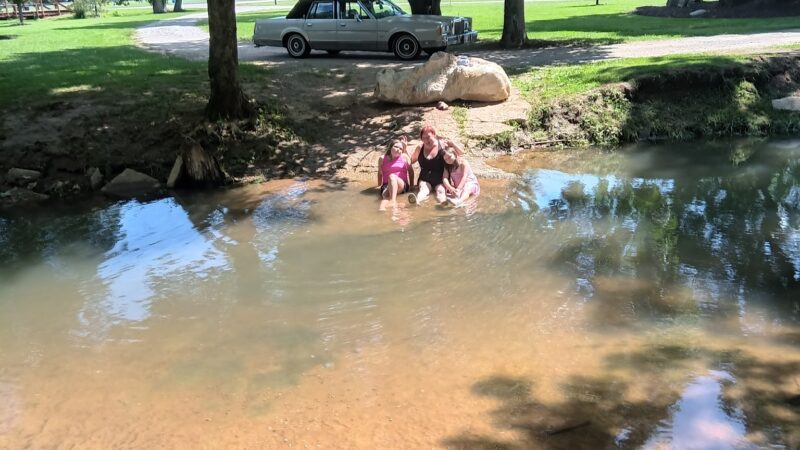 Auburn City Dog Park - Auburn, KY