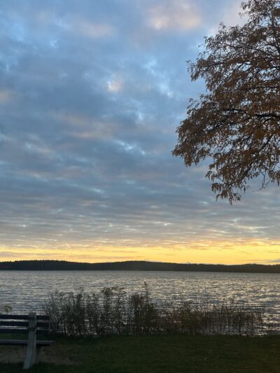 Front Park - Auburn, NH