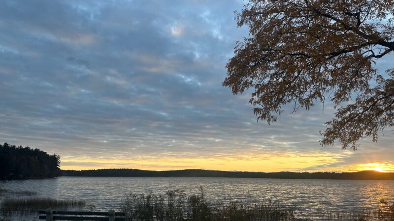 Front Park - Auburn, NH