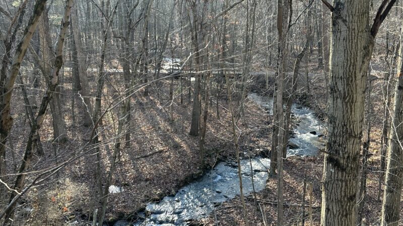 Stony Creek Trail Access - Auburn, PA