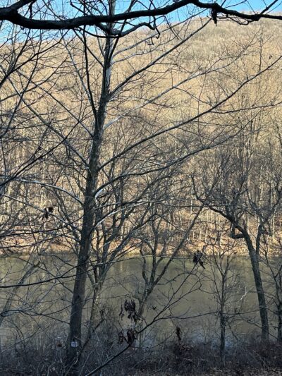 Stony Creek Trail Access - Auburn, PA