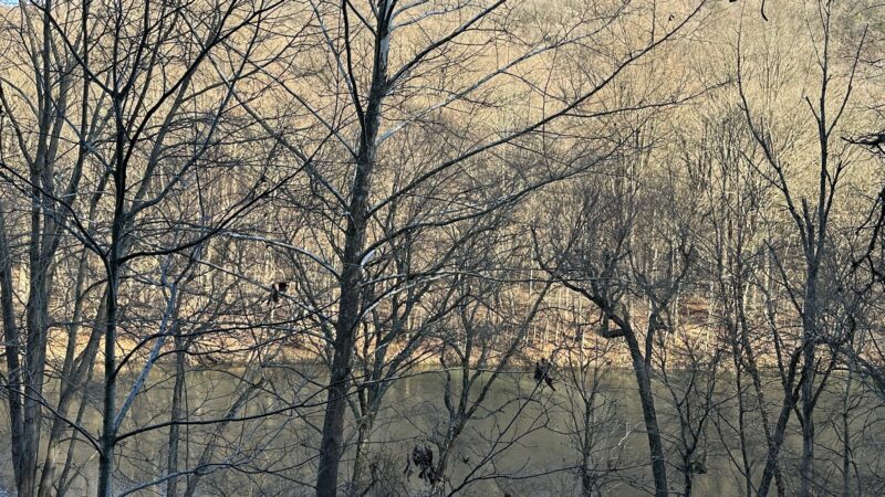 Stony Creek Trail Access - Auburn, PA