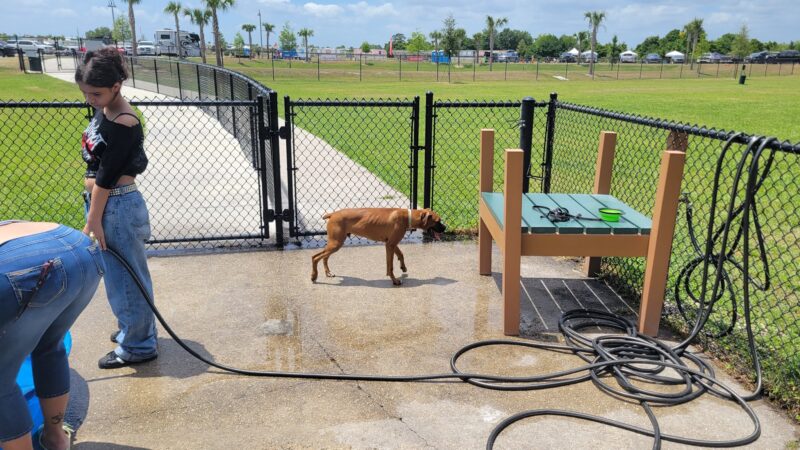 Auburndale Dog Park - Auburndale, FL