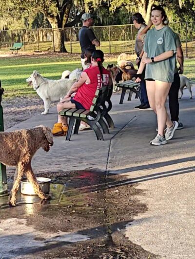 Auburndale Dog Park - Auburndale, FL
