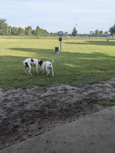Auburndale Dog Park - Auburndale, FL