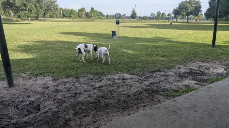 Auburndale Dog Park - Auburndale, FL