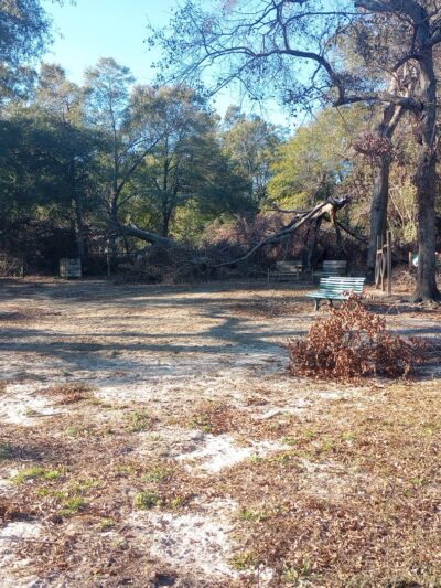 Pendleton King Park - Dog Park - Augusta, GA