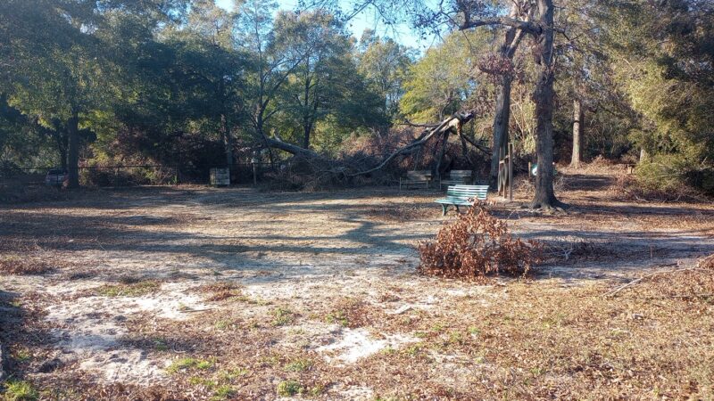 Pendleton King Park - Dog Park - Augusta, GA