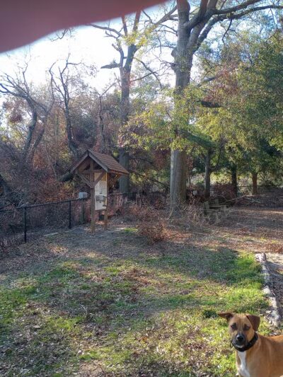 Pendleton King Park - Dog Park - Augusta, GA
