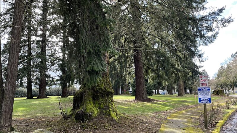 Dog Park w/Tables - Aurora, OR