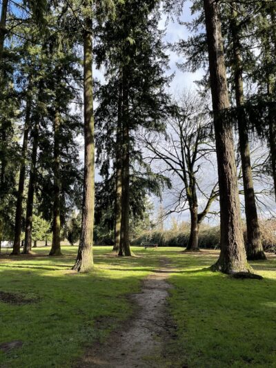 Dog Park w/Tables - Aurora, OR