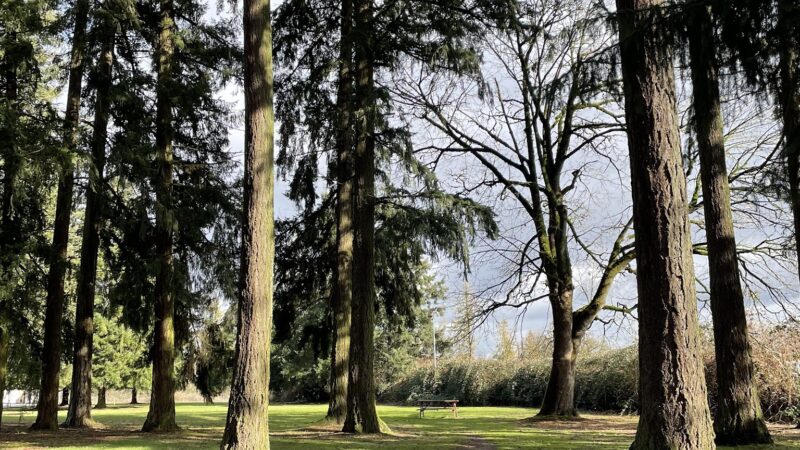Dog Park w/Tables - Aurora, OR
