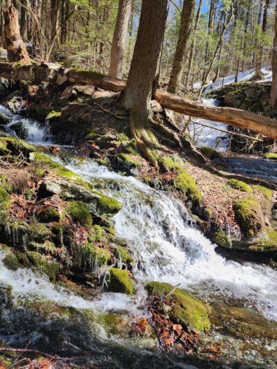 Harvey Mountain State Forest - Austerlitz, NY