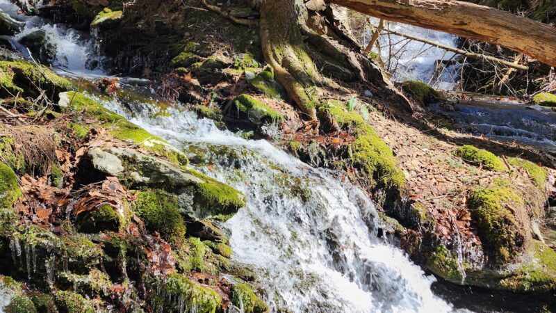 Harvey Mountain State Forest - Austerlitz, NY