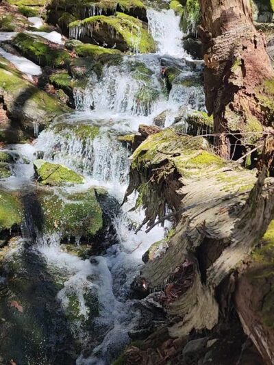 Harvey Mountain State Forest - Austerlitz, NY