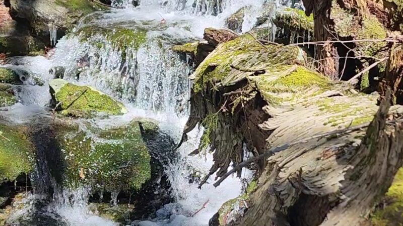 Harvey Mountain State Forest - Austerlitz, NY