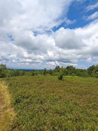 Harvey Mountain State Forest - Austerlitz, NY