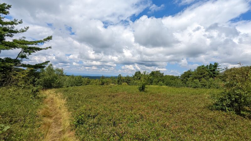 Harvey Mountain State Forest - Austerlitz, NY