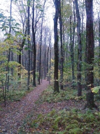 Harvey Mountain State Forest - Austerlitz, NY